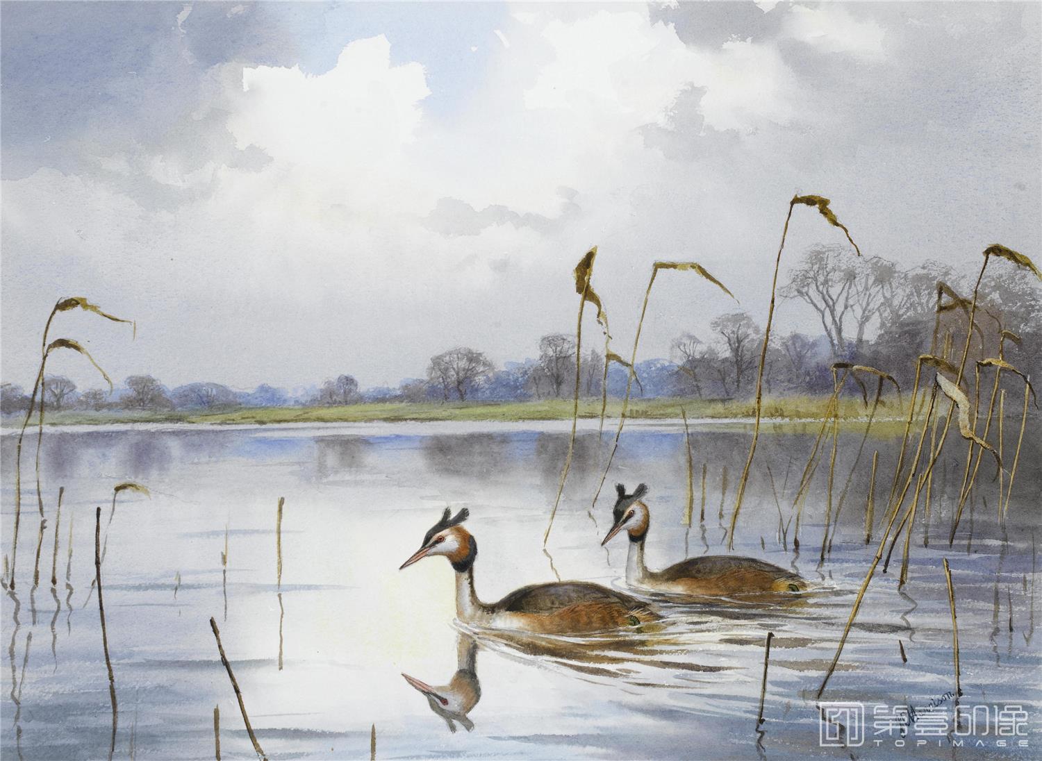 油画-约翰.赛里尔·哈里森 John Harrison作品集-069